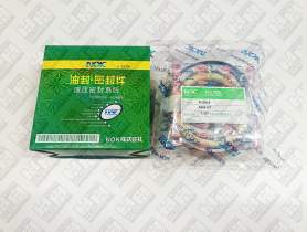 Ремкомплект для гусеничный экскаватор KOMATSU PC200-8 (707-98-48610, 707-98-48610, 707-99-50730)